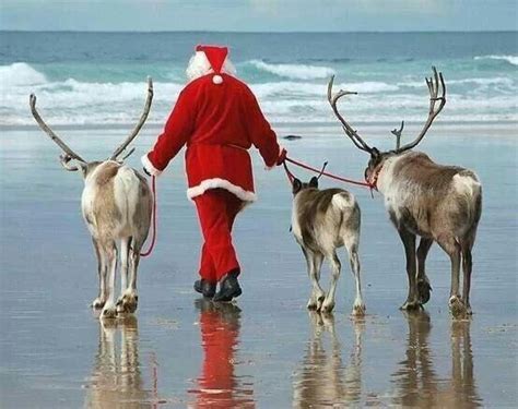 Santa & his Reindeer on Vacation | Summer christmas, Coastal christmas