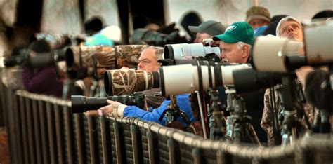 Life's a snapshot: Eagles at conowingo dam