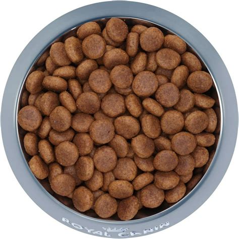 Royal Canin Large Breed Puppy Food Review - Pet Food Guide