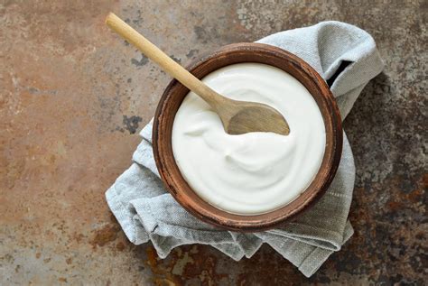 Bulgarian Yogurt – Bacillus Bulgaricus