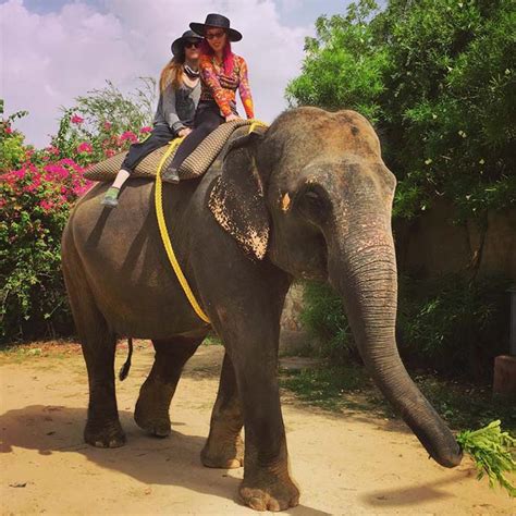 Elefantastic, an ethical elephant sanctuary in Jaipur, India! Review ...