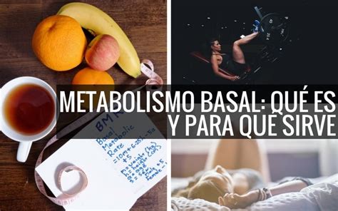 Qué es el metabolismo basal y cómo calcularlo ? - FullMusculo.com