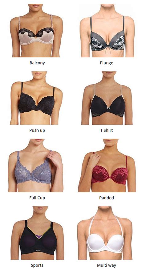 Difference Between Bra Cup Sizes