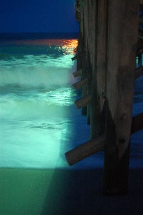 Pier at night. Ocean Isle Beach, NC. And this is why I live in NC | Ocean isle beach, North ...
