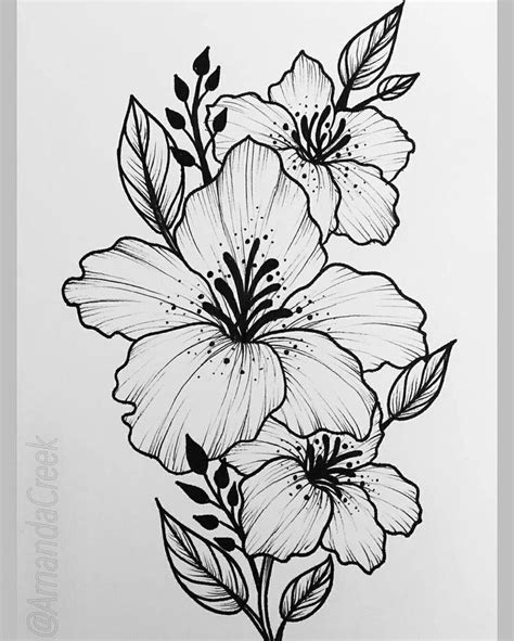 25 Beautiful Flower Drawing Information & Ideas | Brighter Craft ...