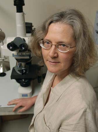 Elizabeth Blackburn | Biography, Nobel Prize, UCSF, Awards, Salk ...