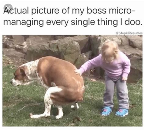 24 Funny Work Memes to Enjoy on Your Break - Funny Gallery | eBaum's World