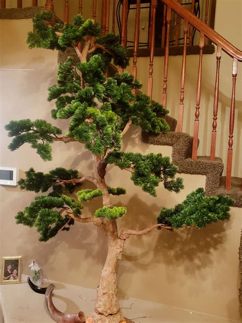 Artificial 6.5 Ft Decorative Faux Bonsai Trees. Just in Time for Spring ...