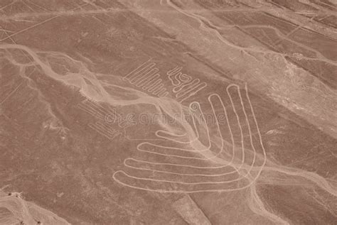 Nazca Lines, Aerial View, Peru Stock Photo - Image of peru, tile: 259750914