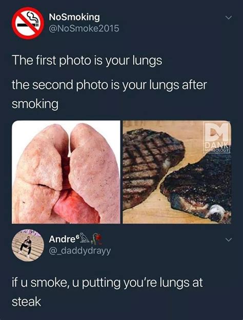 The best Lungs memes :) Memedroid