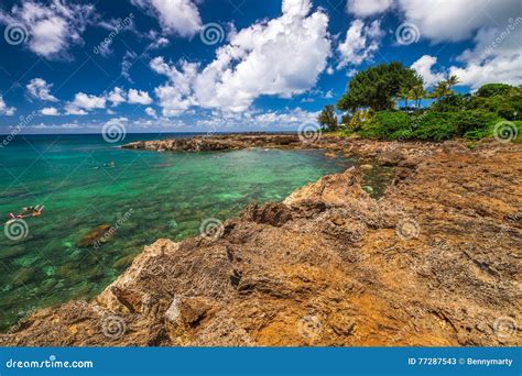 Sharks Cove snorkeling stock image. Image of green, coral - 77287543