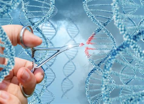 The Rise Of Gene Editing - Risk Group