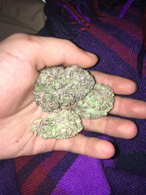 Purple Bubba : r/WeedBuds