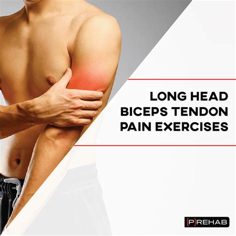 Biceps Tendon Pain Exercises and Treatment Strategies – [𝗣]𝗥𝗲𝗵𝗮𝗯