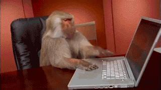 Office Monkey Computer Despair Blank Template - Imgflip