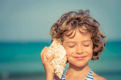 Where, When and How to Enjoy Shelling on the Beach in Naples, FL