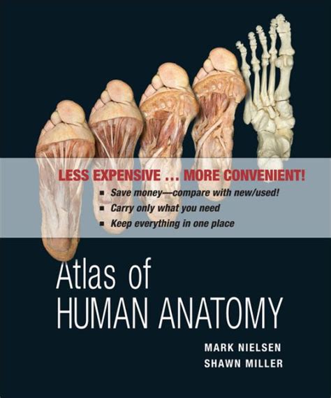 Atlas of Human Anatomy / Edition 1 by Mark Nielsen, Shawn D. Miller ...