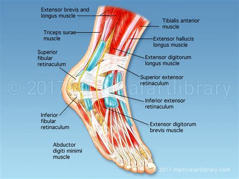 Singapore Foot Specialist Clinic | Singapore Sports and Orthopaedic Clinic - Neurosurgeon