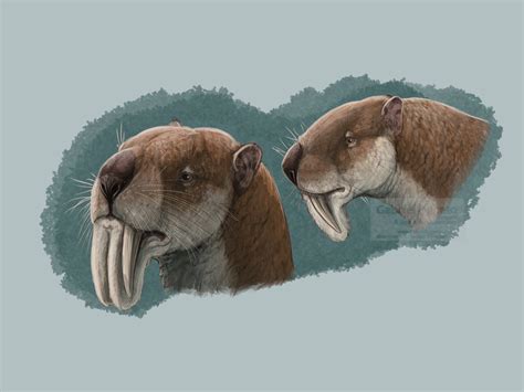 Thylacosmilus Reconstruction