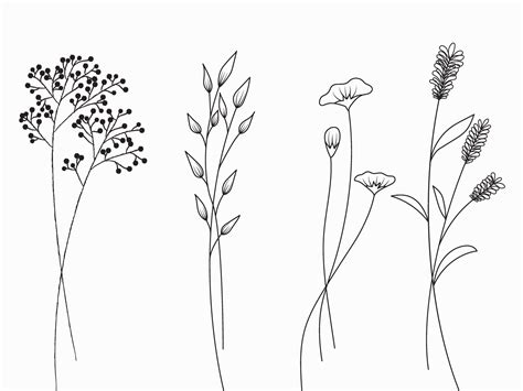 Wild flowers. by Pattarawadee khuansuwan on Dribbble