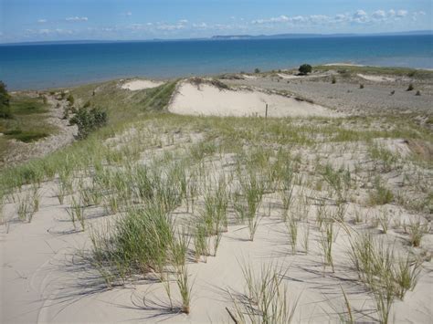 Open Dunes - Michigan Natural Features Inventory