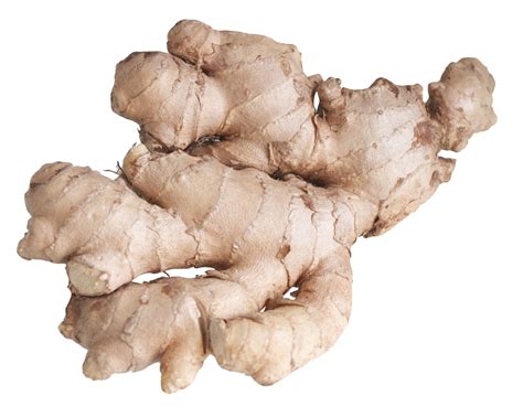 Ginger Root PNG Image - PurePNG | Free transparent CC0 PNG Image Library
