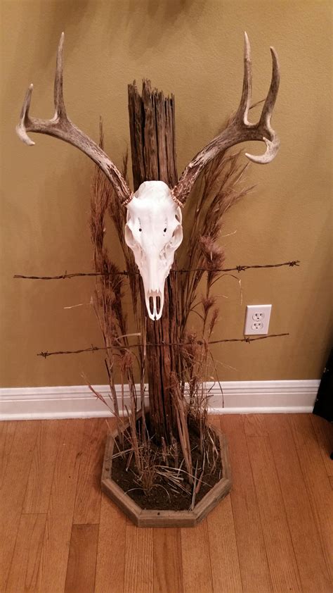 European mount came back I harvested ... Deer Antler Crafts, Deer Antler Decor, Antler Art, Diy ...