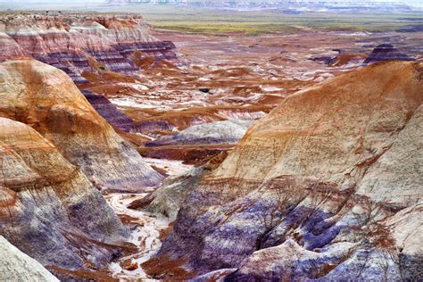 10 AMAZING Facts About Petrified Forest National Park