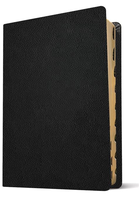 Every Man's Bible NIV, Large Print (Genuine Leather, Black, Indexed)