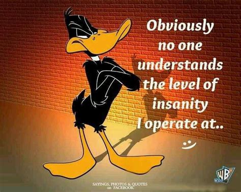 Pin on Fun stuff | Funny cartoon quotes, Looney tunes funny, Daffy duck quotes