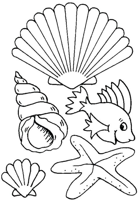 Coloring Pages Sea Shells at GetColorings.com | Free printable colorings pages to print and color