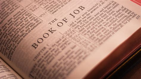 Why Was Job Tested By God, According To The Bible?