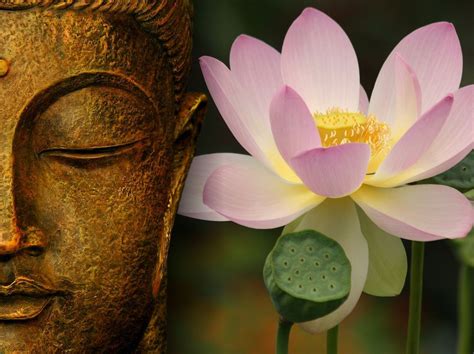 Buddhism Lotus Wallpaper