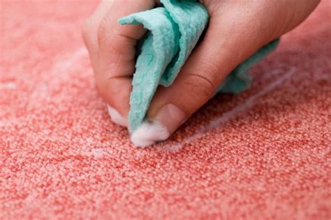 Eco-Friendly Carpet Cleaning: DIY Natural Solutions Without Machines | Glue Savior