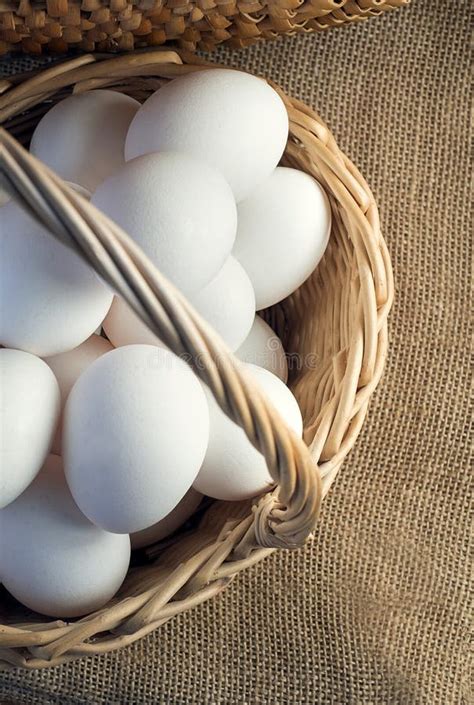 Fresh white chicken eggs stock image. Image of breakfast - 94843599