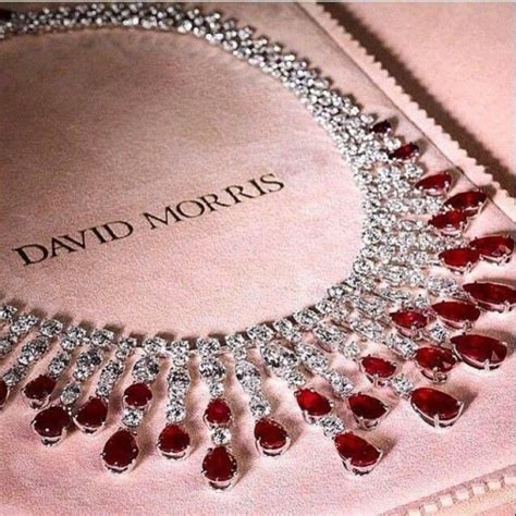 Champagne Wishes and Caviar Dreams | Luxury jewelry, Fancy jewellery ...