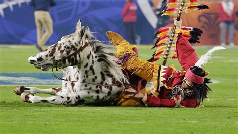 Florida State Seminoles horse mascot Renegade OK after fall during ...