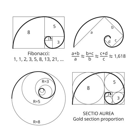 What Is the Fibonacci Sequence? | Live Science