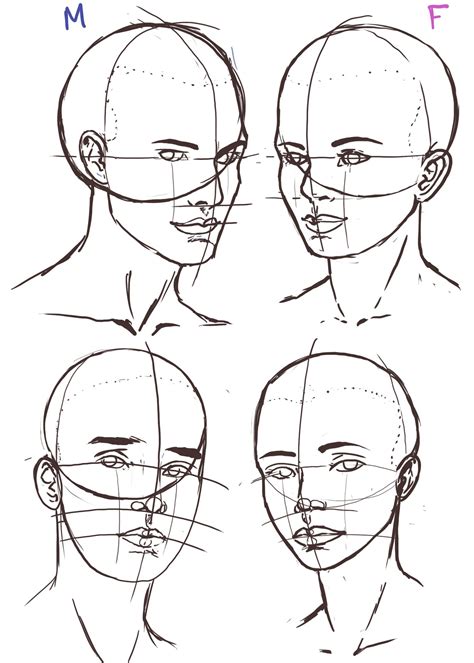 Drawing Heads, Human Drawing, Painting & Drawing, Body Drawing, Face Drawing Reference, Art ...
