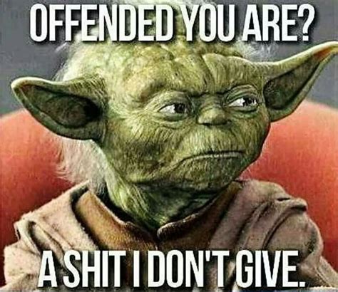 Yoda meme | Yoda quotes, Funny, Funny memes