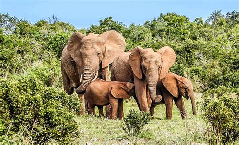 Ecotourisme en Côte d'Ivoire | Discover Ivorycoast