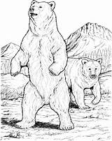 Bear Coloring Page For Kids – Animal Place sketch template