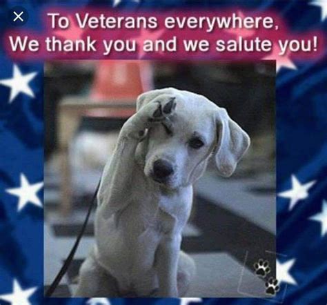 Puppy salutes America's Veterans | Veteran, Veterans day images, Veterans day