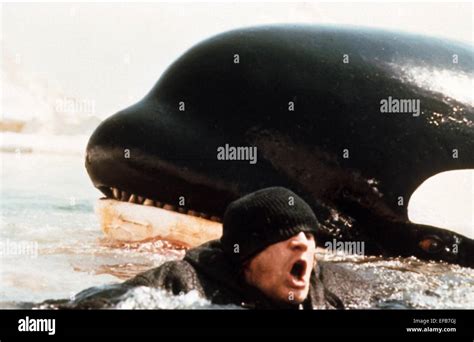 Richard Harris Orca Killer Whale High Resolution Stock Photography and ...