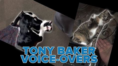 These Cat's got CONFIDENCE - Tony Baker Voice-Over Compilation - YouTube