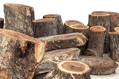 Isolate pile of timber logs from rain tree. 7558498 Stock Photo at Vecteezy