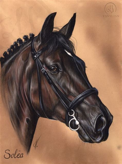 Pin by Hamilton sabino on cavalos | Horse head drawing, Horse art drawing, Horse drawings