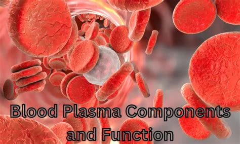 Blood Plasma Components And Function - Posting Tree