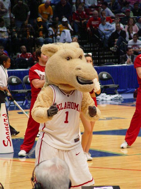 OU Mascot | The Oklahoma Mascot on the floor in Birmingham | SneakinDeacon | Flickr