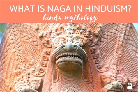 What is a Naga in Hinduism? - Hindu Mythology